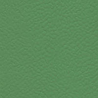 Спортивное напольное покрытие Gerflor Recreation 45 Verde 6556