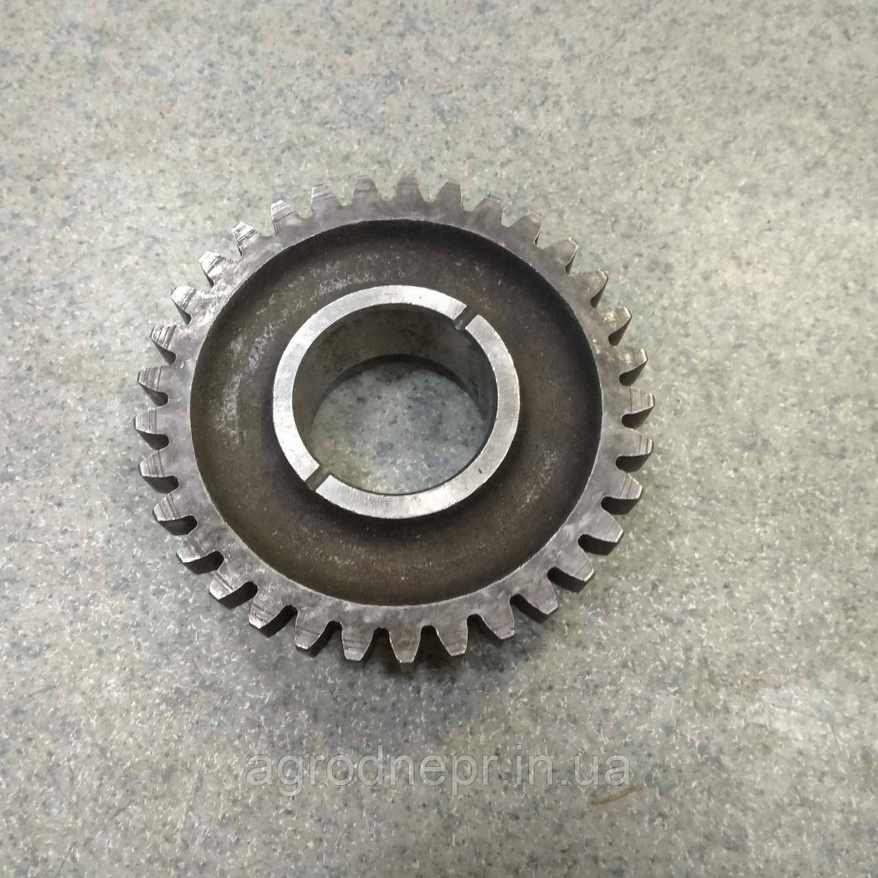 1221С-1701054 Шестерня (Z=33) МТЗ-1221(вир-во Білорусь,МТЗ), фото 1