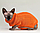 Светр для котів «Преміум», помаранчевий, фото 5