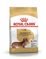 Сухой корм Royal Canin Dachshund Adult для собак породы такса от 10 мес., 1,5 кг