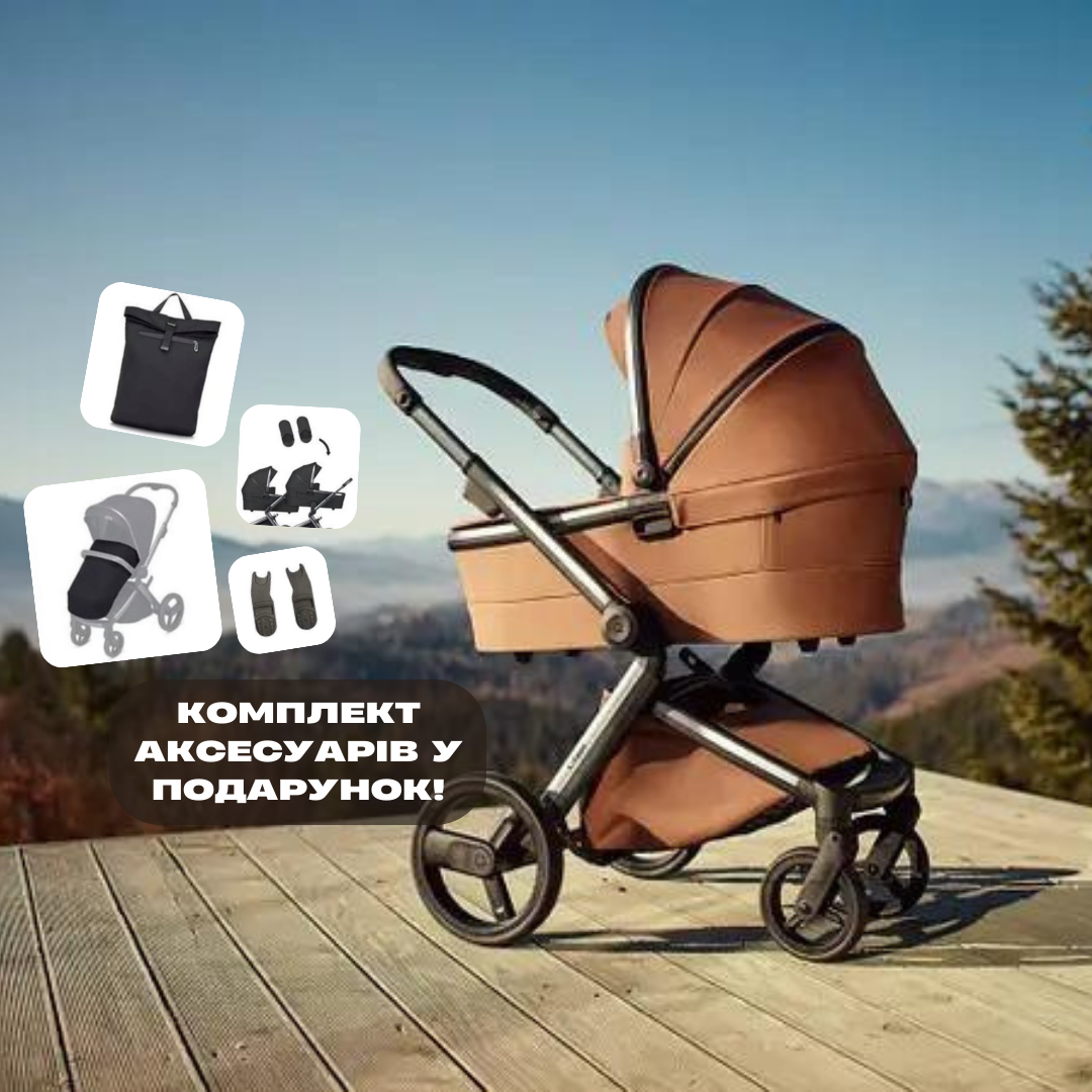 Універсальна коляска 2в1 Anex L-TYPE, Hazel