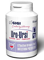 Препарат для профилактики дисфункции почек и мочеполовой системы GIGI Uro-Ursi N90 caps.