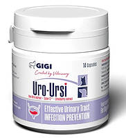 Препарат для профилактики дисфункции почек и мочеполовой системы GIGI Uro-Ursi N14 caps.