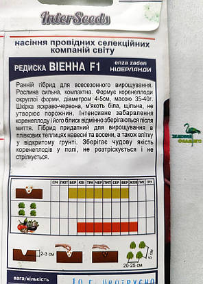 Насіння Редиска Вієнна F1, 10 г, Enza Zaden Нідерланди, фото 3