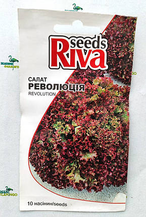 Салат РЕВОЛЮЦІЯ, 10шт, Nunhems B.V., Нідерланди, фото 1