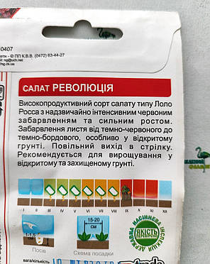 Салат РЕВОЛЮЦІЯ, 10шт, Nunhems B.V., Нідерланди, фото 3
