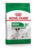 Сухой полнорационный корм Royal Canin Mini Adult 8+, для собак малых пород старше 8 лет, 800г