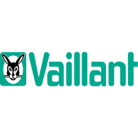 Проточні водонагрівачі Vaillant