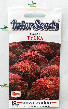 Салат Туска, 10шт, Enza Zaden, Нідерланди, фото 1