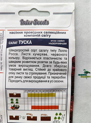 Салат Туска, 10шт, Enza Zaden, Нідерланди, фото 3
