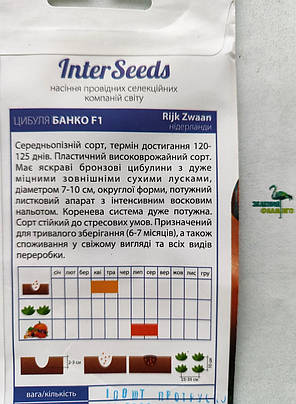 Насіння Цибуля БАНКО F1, 100 шт, Syngenta Seeds B.V., Нідерланди, фото 3