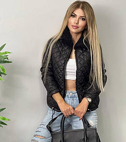 Стильна демісезонна жіноча коротка куртка без капюшона "Marissa" Трендова жіноча осіння куртка