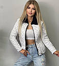 Стильна демісезонна жіноча коротка куртка без капюшона "Marissa" Трендова жіноча осіння куртка, фото 2