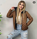 Стильна демісезонна жіноча коротка куртка без капюшона "Marissa" Трендова жіноча осіння куртка, фото 3