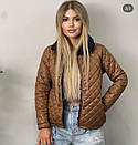 Стильна демісезонна жіноча коротка куртка без капюшона "Marissa" Трендова жіноча осіння куртка, фото 5