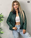 Стильна демісезонна жіноча коротка куртка без капюшона "Marissa" Трендова жіноча осіння куртка, фото 6