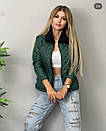Стильна демісезонна жіноча коротка куртка без капюшона "Marissa" Трендова жіноча осіння куртка, фото 9