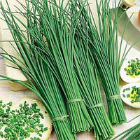 Насіння цибуля Шніт 1 г