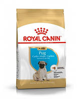 Сухой корм Royal Canin Pug Puppy для щенков породы мопс до 10 месяцев, 1,5 кг