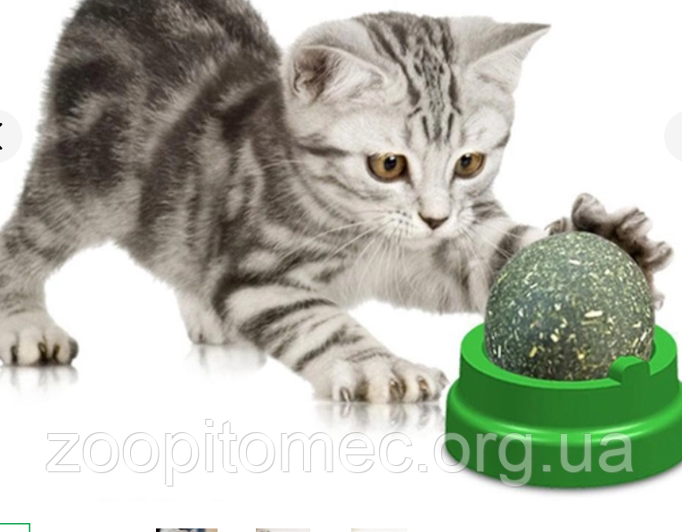 Ласощі для котів лизун, котяча м'ята кулька, іграшка Черепашка
