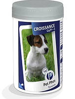 Витамины Pet Phos CROISSANCE Ca/P =2 для собак всех возрастов, 100 таблеток