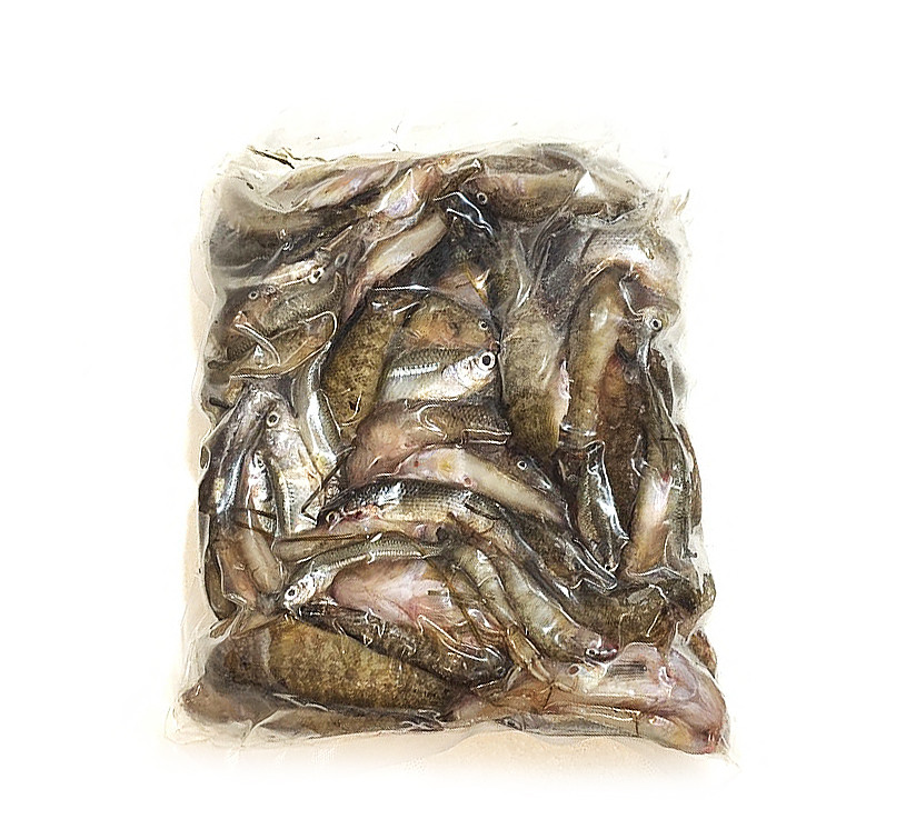 Рыба свежемороженая морская для кормления креветки Розенберга 30 (кг) - фото 1 - id-p2094774586