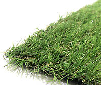 Искусственная трава (Газон) EcoGrass U-20 (20мм)