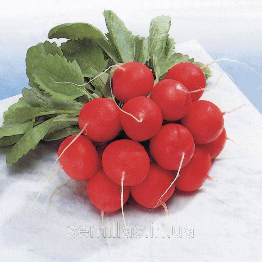 Насіння редиски Сора (Sora) 250 гр.