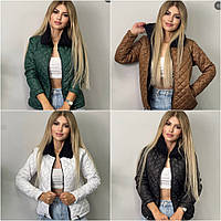 Жіночі зимові куртки 9191-мо Стильна жіноча коротка жіноча куртка без капюшона