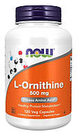 Орнитин NOW Foods L-Ornithine 500 mg Veg Capsules