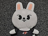 Іграшка SKZOO Кролик Leebit Лібіт Stray Kids Лі Ноу, фото 2