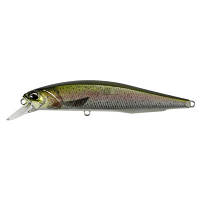 Воблер DUO Realis Jerkbait 100SP PIKE 100mm 14.5g CCC3836 Rainbow Trout (34.28.02) - Вища Якість та Гарантія!