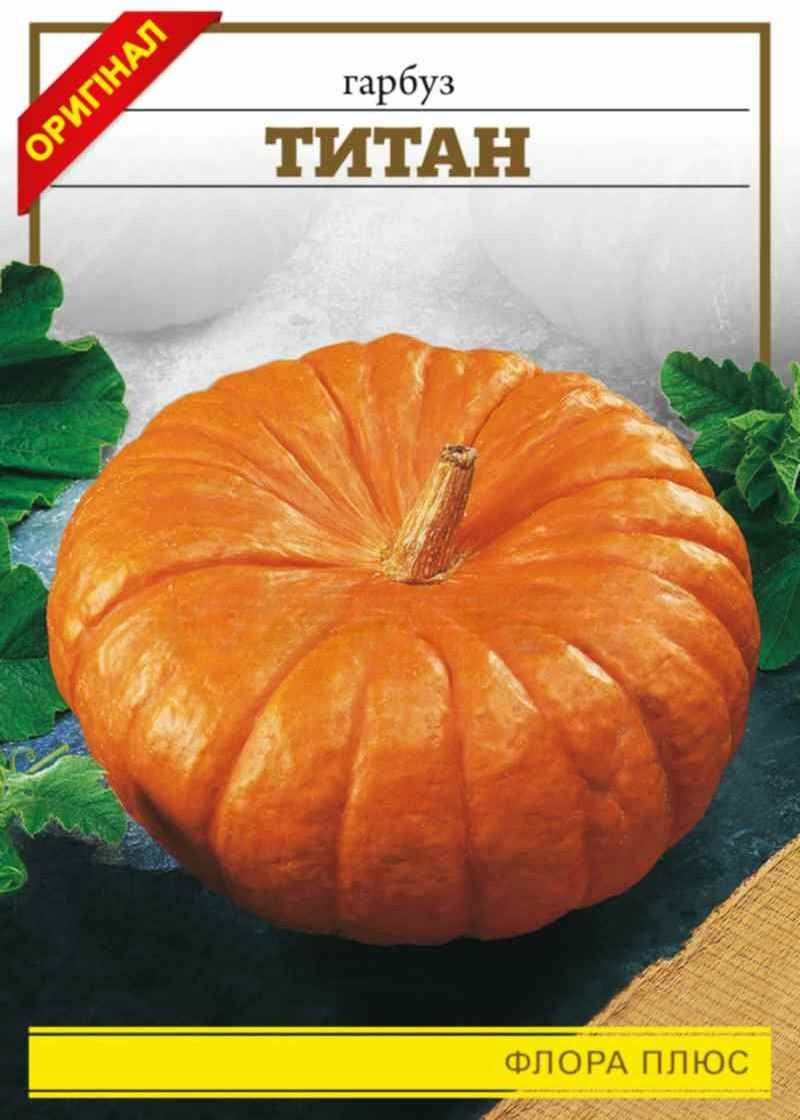 Насіння тиква Титан 15г