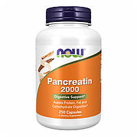 Pancreatin 2000 - 250 caps