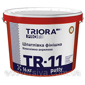Шпаклівка фінішна TR-11 putty TRIORA prof, фото 1