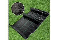 Агроткань Agreen 95 (NEW) 3,2 х 50м перфорированная черная с зеленой полоско, агроволокно для посадки клубники