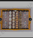 Інкубатор Теплуша з автоматичним переворотом яєць з вентилятором і цифровим терморегулятором на 63 яйця, фото 2