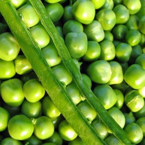 Насіння Гороху Шість тижнів (10г), фото 1