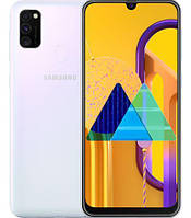 Samsung Galaxy M30s / M21