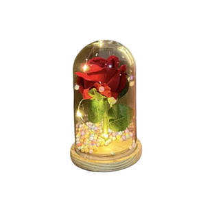 Вічна Троянда в колбі з підсвіткою в подарунковому пакованні Червона маленька