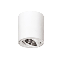 Точечный светильник ML302 Накладной 1*GU10 Белый