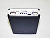 Solar Power Bank 30000mAh з сонячною батареєю, фото 6
