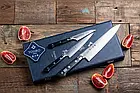 Набір з 3х кухонних ножів Tojiro DP-GIFTSET-A, фото 3