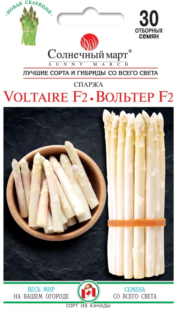 Насіння спаржі Вольтер F2,30шт