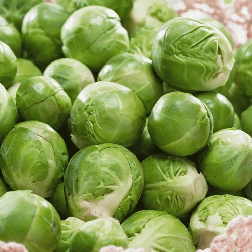 Насіння капусти брюссельська Геркулес 1342 (1г), фото 1