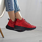 Червоні шкіряні жіночі кросівки демі, фото 3