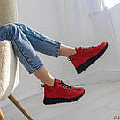 Червоні шкіряні жіночі кросівки демі, фото 5