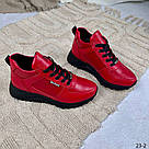 Червоні шкіряні жіночі кросівки демі, фото 9