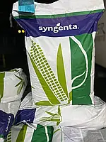 Семена кукурузы SYNGENTA СИ Феномен