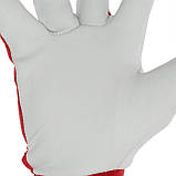 Рукавичка комбінована зі шкіри і тканини 10" еластичний манжет на липучці INTERTOOL, фото 2